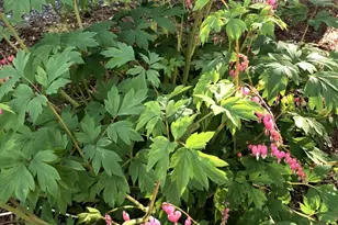 125 Ridgeview Dr, Veazie, ME 04401 - Photo 46