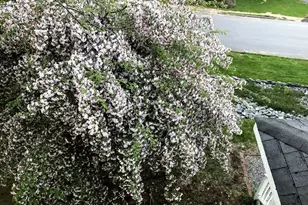 125 Ridgeview Dr, Veazie, ME 04401 - Photo 52