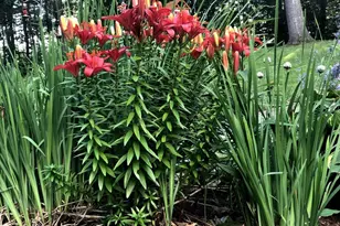 125 Ridgeview Dr, Veazie, ME 04401 - Photo 46