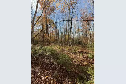 Lot 006 Ramsdell Road, Farmington, ME 04938 - Photo 4