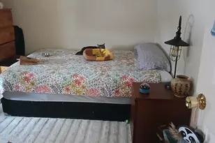 94 Summer St, Auburn, ME 04210 - Photo 20