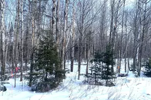 47 Greenville Rd, Shirley, ME 04485 - Photo 1