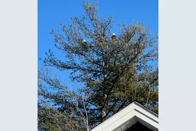 7 Aquatic Way #7, Windham, ME 04062 - Photo 52