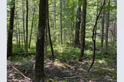 Lot 6 Holmes Brook Lane, Winthrop, ME 04364 - Photo 2