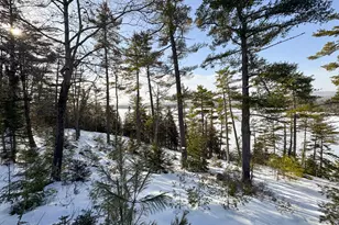 41 Thomas Rd, Monson, ME 04464 - Photo 8