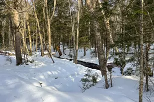 41 Thomas Rd, Monson, ME 04464 - Photo 12