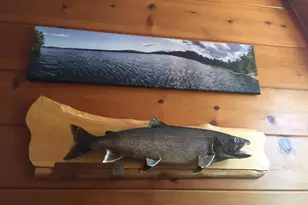 41 Thomas Rd, Monson, ME 04464 - Photo 38