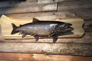 41 Thomas Rd, Monson, ME 04464 - Photo 32