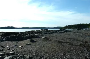 613 Yoho Head Rd, Machiasport, ME 04655 - Photo 74