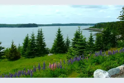 613 Yoho Head Road, Machiasport, ME 04655 - Photo 66