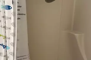 10 Knox Ave, Bangor, ME 04401 - Photo 18