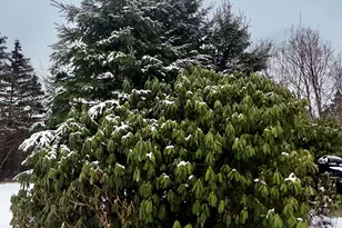 6 Case Dr, Lubec, ME 04652 - Photo 6