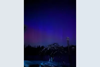 252 Ox Cove Road, Pembroke, ME 04666 - Photo 72