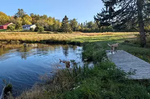 252 Ox Cove Rd, Pembroke, ME 04666 - Photo 20