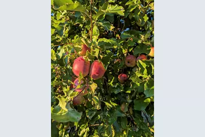 252 Ox Cove Road, Pembroke, ME 04666 - Photo 24