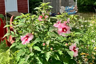 14 Lawrence Ln, Kennebunk, ME 04043 - Photo 50