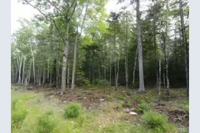 6 Bluff Road, Bar Harbor, ME 04609 - Photo 4