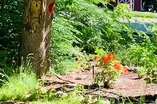 77 Holmes Rd, Winthrop, ME 04364 - Photo 66