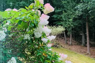 77 Holmes Rd, Winthrop, ME 04364 - Photo 68