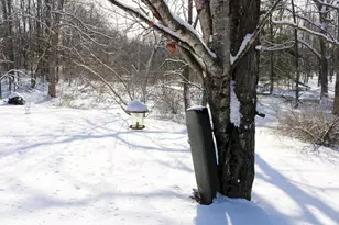 167 Lower Mills Rd, Madison, ME 04950 - Photo 52