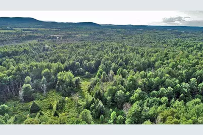 Lot-5-1 Off Burton Road, Linneus, ME 04730 - Photo 10