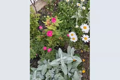 110 Bennett Road, New Gloucester, ME 04260 - Photo 6