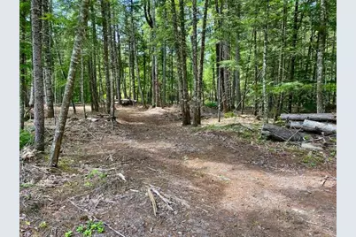 00 Pratt Road, Parsonsfield, ME 04047 - Photo 6