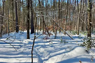 Tbd Swans Falls Rd, Fryeburg, ME 04037 - Photo 1