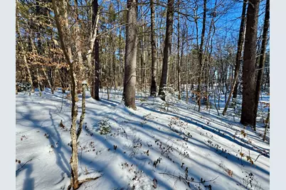 Tbd Swans Falls Road #Lot B, Fryeburg, ME 04037 - Photo 8