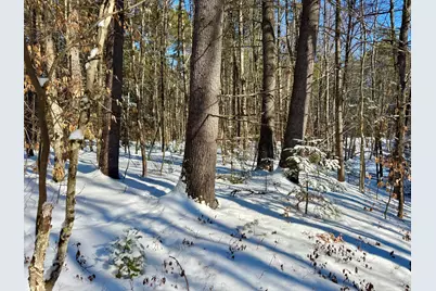 Tbd Swans Falls Road #Lot B, Fryeburg, ME 04037 - Photo 6