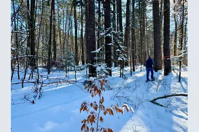 Tbd Swans Falls Road #Lot A, Fryeburg, ME 04037 - Photo 6