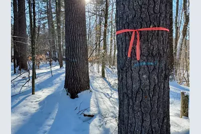 Tbd Swans Falls Road #Lot A, Fryeburg, ME 04037 - Photo 2