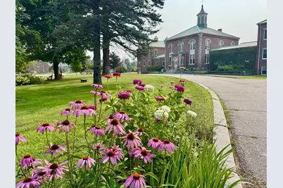 Tbd Swans Falls Road #Lot A, Fryeburg, ME 04037 - Photo 4