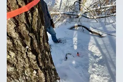 Tbd Swans Falls Road #Lot A, Fryeburg, ME 04037 - Photo 14