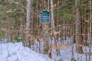 5 Whippoorwill Dr, Naples, ME 04055 - Photo 84