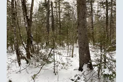 Lot 2-18 Shin Pond Road, Mount Chase, ME 04765 - Photo 16