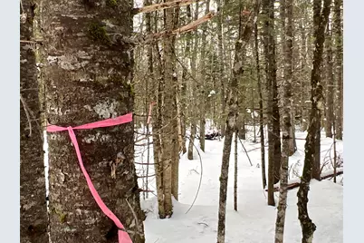 Lot 2-18 Shin Pond Road, Mount Chase, ME 04765 - Photo 18