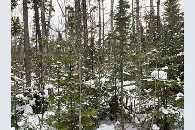 Lot 2-18 Shin Pond Road, Mount Chase, ME 04765 - Photo 4