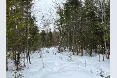 Lot 2-18 Shin Pond Road, Mount Chase, ME 04765 - Photo 12