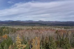 233 Porter Nadeau Rd, Eustis, ME 04936 - Photo 4