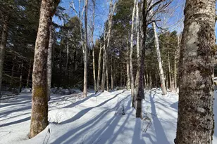 20 Compromise Dr, Lagrange, ME 04453 - Photo 18