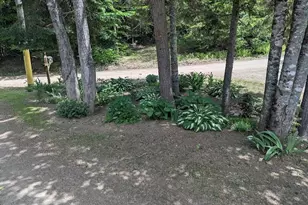 114 East Shore Rd, Benedicta, ME 04733 - Photo 40