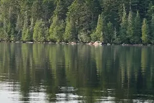 114 East Shore Rd, Benedicta, ME 04733 - Photo 12