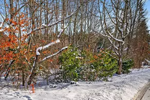 61 Woodside Rd, Brunswick, ME 04011 - Photo 6