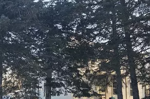 216 Access Hwy, Limestone, ME 04750 - Photo 2