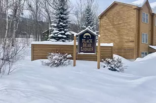 5010 Black Bear Run, Carrabassett Valley, ME 04947 - Photo 2