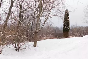 17 Aspen Way, Turner, ME 04282 - Photo 88