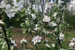 119 Fish St, Fryeburg, ME 04037 - Photo 42