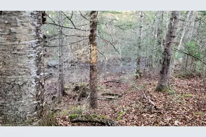 Lot 11 Fox Run, Mariaville, ME 04605 - Photo 2