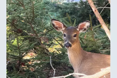 82 Falcon Lane, Lamoine, ME 04605 - Photo 80